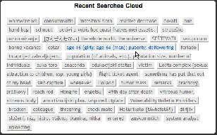 Recent searches cloud