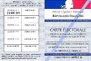 My voter's card BECAUSE FRANCE UNDERSTANDS DEMOCRACY