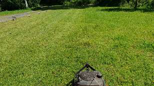 Mowing the slow way.
