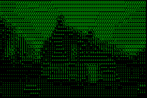 The house from the other side, as ASCII art